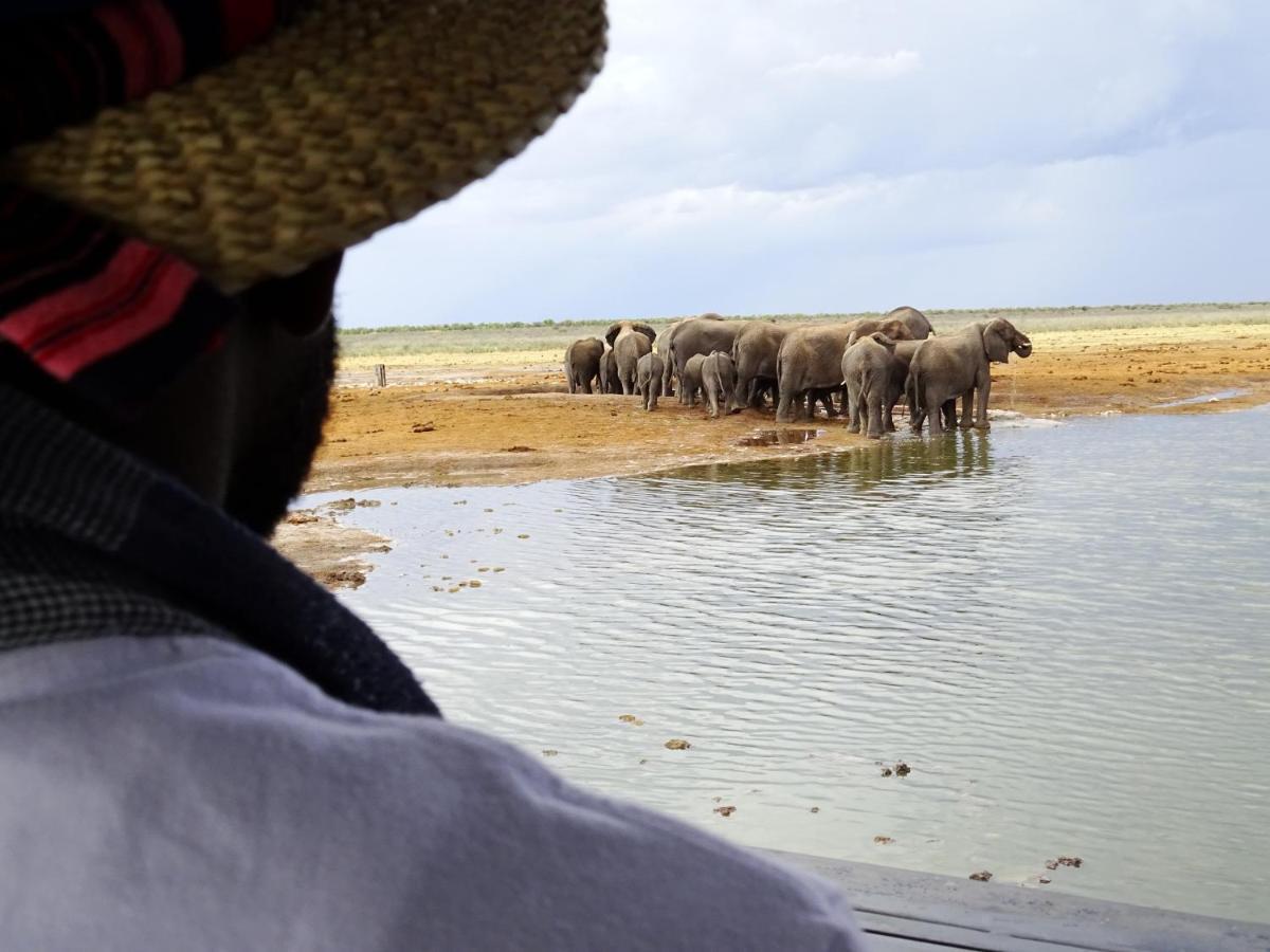 Etosha King Nehale Omuthiya Exterior foto
